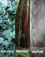 Eucalyptus Body Oil