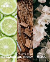 Cozy Body Oil