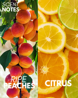Peach Paradise Body Butter